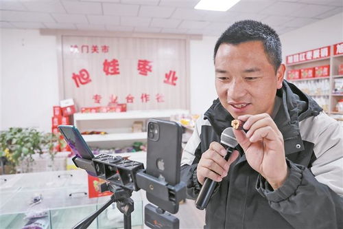 兵團電商產業乘勢而上，經營電子商務迎來新機遇